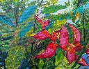 Heliconia.webp